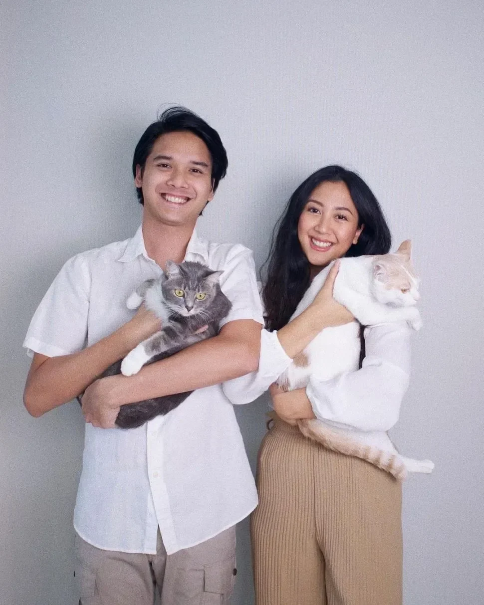 polemik kucing sherina munaf dan uya kuya berakhir damai 5 hewan kesayangan siap kembali ke pelukan keluarga portal berita terbaru