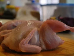 Sering Makan Ayam Setiap Hari? Hati-hati, Ini yang Terjadi pada Tubuhmu!