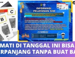 SIM Mati di Tanggal Merah? Jangan Panik! Begini Cara Perpanjang Tanpa Bikin Baru