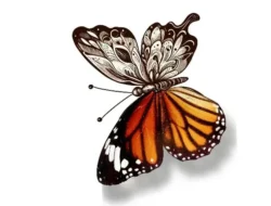 Social Butterfly: Rahasia Jadi Pusat Perhatian yang Disukai Banyak Orang, Kamu Termasuk?