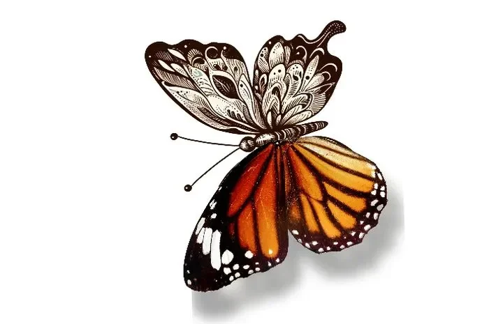 Kupu-kupu dengan corak unik, melambangkan kepribadian social butterfly.