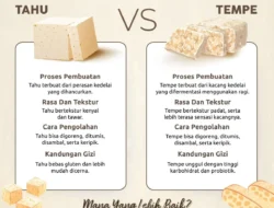 Tahu vs Tempe: Siapa Juaranya untuk Protein dan Diet Sehatmu? Ini Perbandingannya! 4 Tahu vs Tempe: Siapa Juaranya untuk Protein dan Diet Sehatmu? Ini Perbandingannya!