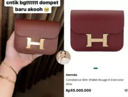Tasya Farasya Bikin Geger Sidang Cerai: Tas Hermes Birkin Himalaya Rp3 Miliar Jadi Sorotan Utama!