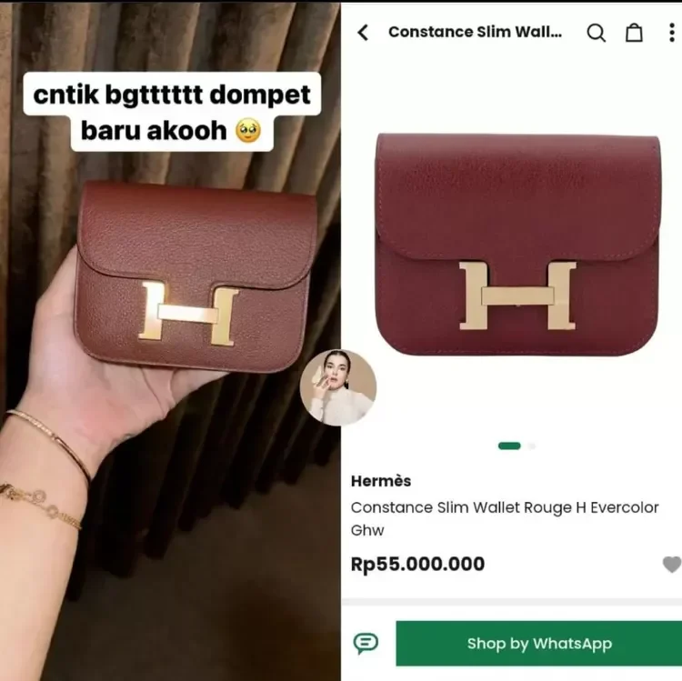 Tas Hermès Birkin Himalaya Tasya Farasya seharga Rp3 miliar
