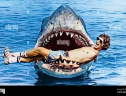 Terkuak! Kekuatan Raksasa di Balik Logo CNN Indonesia: Bukan Sekadar Berita Biasa!