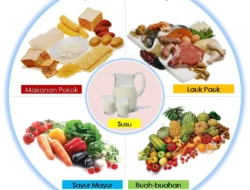 Terungkap! Bukan Cuma Dada Ayam, Ini 4 Daging Paling Sehat dan Tinggi Protein yang Wajib Kamu Tahu!