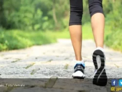 Terungkap! Ini Waktu Paling Ampuh Jalan Kaki untuk Bakar Lemak dan Turun Berat Badan