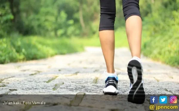 terungkap ini waktu paling ampuh jalan kaki untuk bakar lemak dan turun berat badan portal berita terbaru