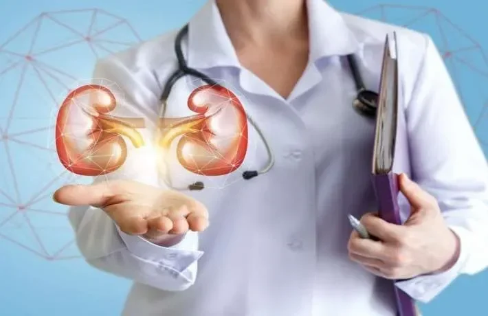 Dokter dengan ilustrasi ginjal, melambangkan harapan transplantasi bagi pasien gagal ginjal.