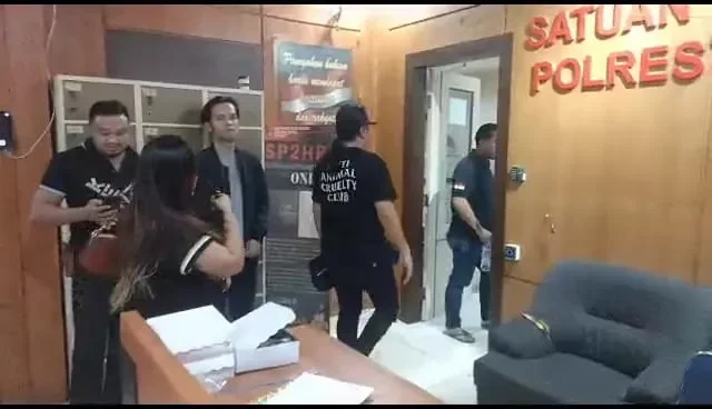 viral satpam ukrida ditabrak mobil berakhir damai penuh tanggung jawab portal berita terbaru