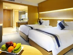 Wajib Tahu! Perbedaan Single, Double, dan Queen Bed di Hotel Biar Gak Salah Pilih & Tidur Makin Pulas 7 Wajib Tahu! Perbedaan Single, Double, dan Queen Bed di Hotel Biar Gak Salah Pilih & Tidur Makin Pulas