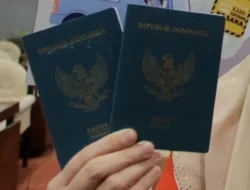 Wajib Tahu! Satu Warna Baju Ini Haram Dipakai Buat Foto Paspor, Auto Ditolak Kalau Nekat! 5 Wajib Tahu! Satu Warna Baju Ini Haram Dipakai Buat Foto Paspor, Auto Ditolak Kalau Nekat!