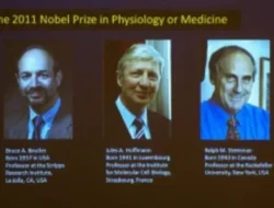 3 Ilmuwan Sabet Nobel Kedokteran 2025: Bongkar ‘Rem’ Imun, Kunci Lawan Kanker & Autoimun!