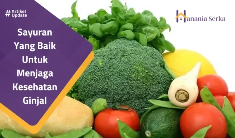 6 sayuran ajaib ini bikin ginjalmu sehat maksimal wajib tahu portal berita terbaru