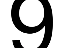 9 Kapal Bantuan Baru Terobos Blokade Gaza, Israel Ketar-ketir! Misi Berani Demi Palestina