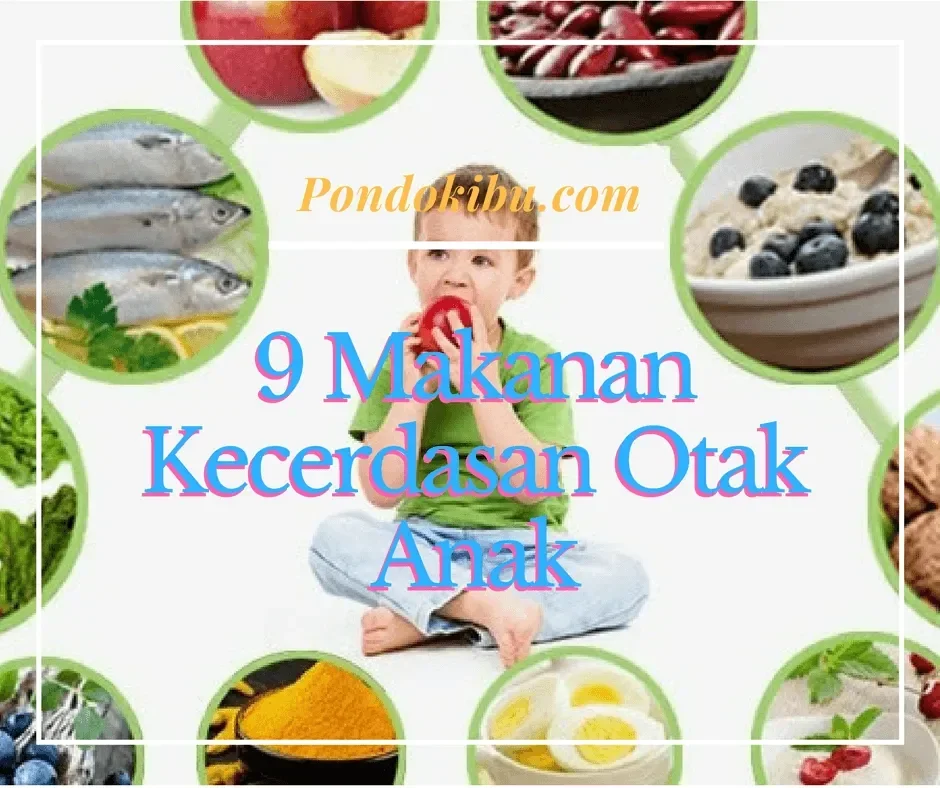 9 makanan ini rahasia otak anak cerdas sejak dini orang tua wajib tahu portal berita terbaru