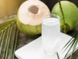 Air Kelapa untuk Ginjal: Sehat Banget atau Malah Bikin Rusak? Ini yang Wajib Kamu Tahu!