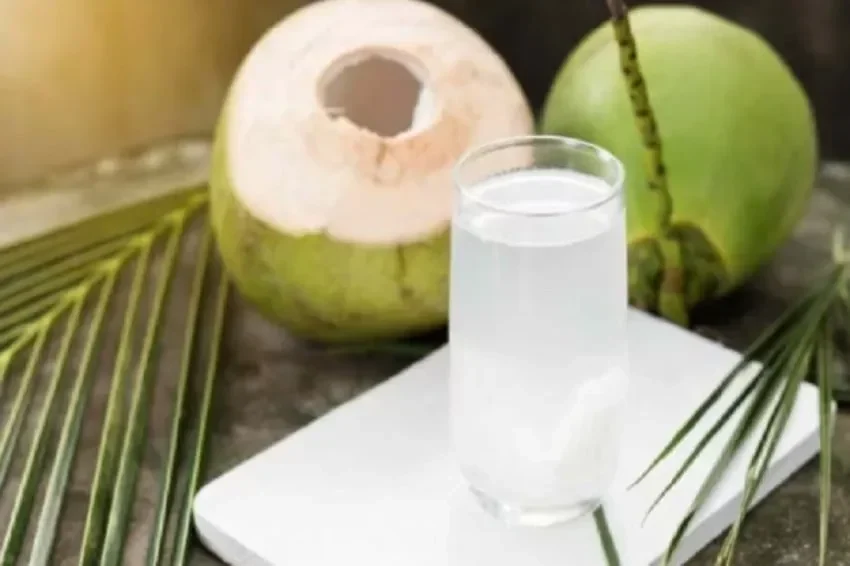 air kelapa untuk ginjal sehat banget atau malah bikin rusak ini yang wajib kamu tahu portal berita terbaru