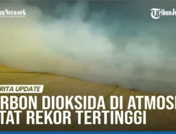 Alarm Merah Iklim: Konsentrasi CO2 di Atmosfer Pecahkan Rekor Tertinggi 2024, Bumi di Ambang Krisis!