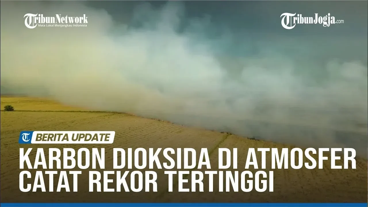 alarm merah iklim konsentrasi co2 di atmosfer pecahkan rekor tertinggi 2024 bumi di ambang krisis portal berita terbaru