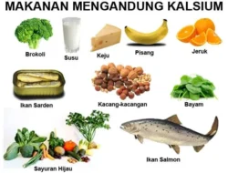 Anti Keropos! 9 Makanan Enak Ini Sumber Kalsium Terbaik Selain Susu, Wajib Coba!