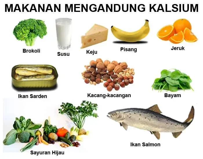 anti keropos 9 makanan enak ini sumber kalsium terbaik selain susu wajib coba portal berita terbaru