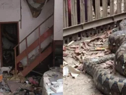 Awas! 9 Tanda Sarang Ular Tersembunyi di Rumah yang Wajib Kamu Waspadai