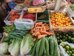 Awas! Penderita Penyakit Ginjal Wajib Hindari 5 Sayuran Populer Ini, Bikin Ginjal Makin Parah!