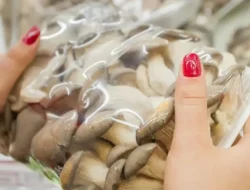 Biar Gak Cepat Basi! Ini Trik Simpan Jamur di Kulkas Agar Awet Seminggu Penuh