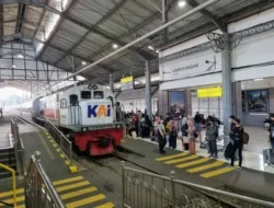 Bikin Geger! Kawanan Sapi ‘Invasi’ Stasiun Kereta di Wales, Penumpang Auto Ngakak Tapi Kena Delay Berjam-Jam