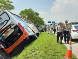 Bikin Kaget! Teknologi Ini Berhasil Selamatkan Ribuan Nyawa dari Kecelakaan Lalu Lintas, Apa Itu?