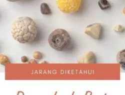 Bikin Ngeri! 8 Makanan Enak Ini Ternyata Musuh Utama Kantung Empedu, Wajib Dihindari!