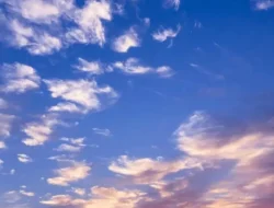 Bongkar Tuntas! Rahasia di Balik Copyright 2025 CNN Indonesia, Lebih dari Sekadar Tanggal Kadaluarsa?