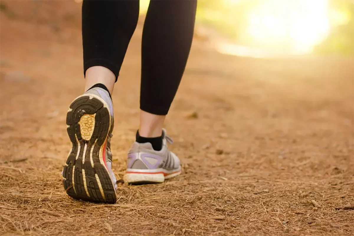 bukan cuma 10 000 langkah ini rahasia jalan kaki bakar lemak bikin jantung kuat gak nyangka semudah ini portal berita terbaru