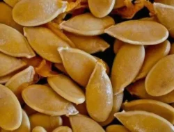 Bukan Cuma Camilan Biasa! Ini Waktu Paling Pas Makan Biji Labu Biar Manfaatnya Maksimal Banget