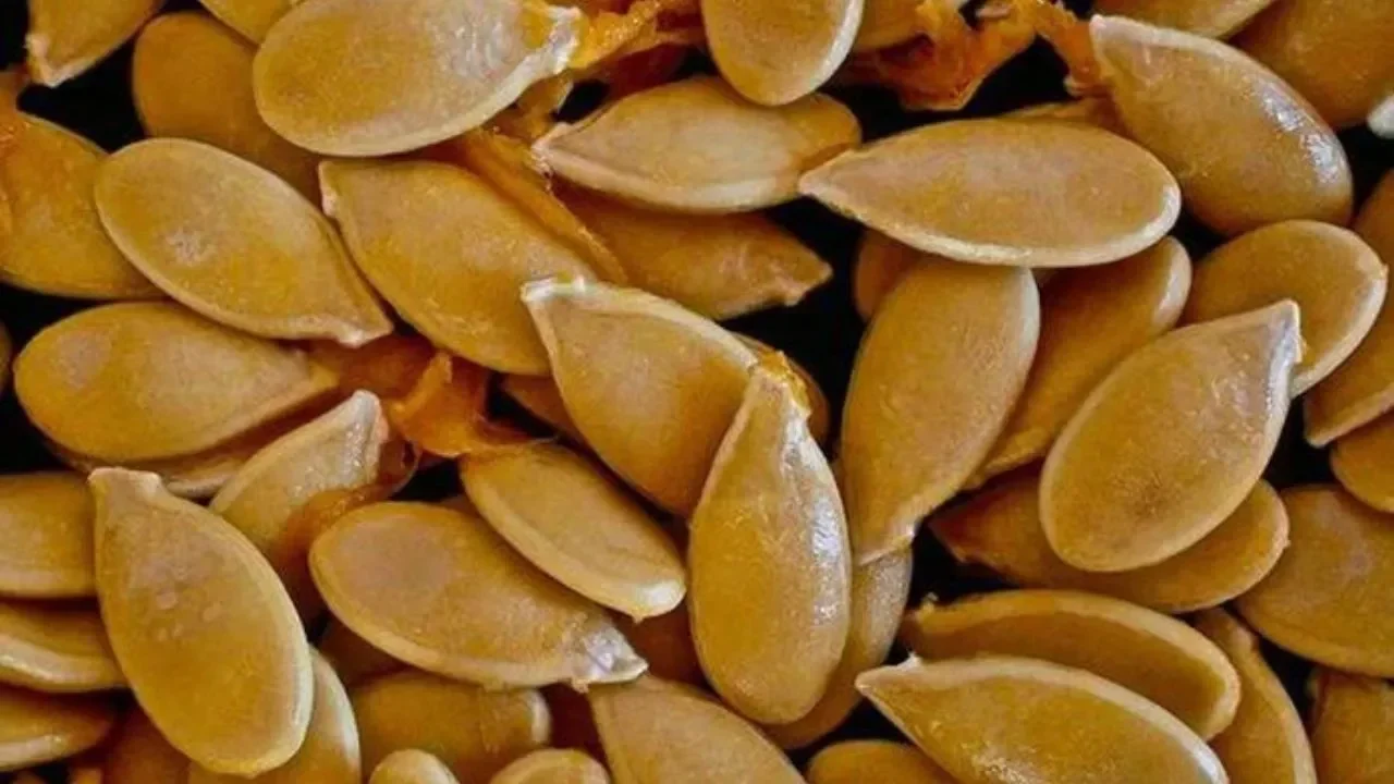 bukan cuma camilan biasa ini waktu paling pas makan biji labu biar manfaatnya maksimal banget portal berita terbaru