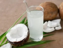 Bukan Cuma Segar, 7 Kelompok Ini Wajib Minum Air Kelapa Dingin Tiap Hari!