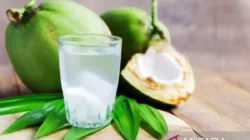 Bukan Diet Ketat! Ini 9 Minuman Pagi Rahasia Bikin Lemak Perut Auto Luntur, Bye Perut Buncit! 2 bukan diet ketat ini 9 minuman pagi rahasia bikin lemak perut auto luntur bye perut buncit portal berita terbaru