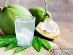Bukan Diet Ketat! Ini 9 Minuman Pagi Rahasia Bikin Lemak Perut Auto Luntur, Bye Perut Buncit! 1 Bukan Diet Ketat! Ini 9 Minuman Pagi Rahasia Bikin Lemak Perut Auto Luntur, Bye Perut Buncit!