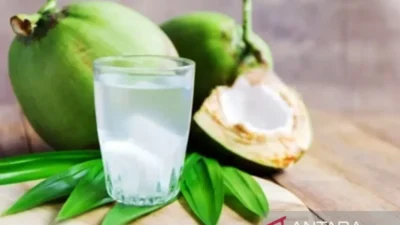 Bukan Diet Ketat! Ini 9 Minuman Pagi Rahasia Bikin Lemak Perut Auto Luntur, Bye Perut Buncit! 8 bukan diet ketat ini 9 minuman pagi rahasia bikin lemak perut auto luntur bye perut buncit portal berita terbaru