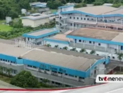 Bukan Kaleng-Kaleng! Dony Oskaria, Eks Wamen Erick Thohir, Kini Pimpin BP BUMN