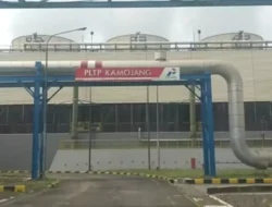 Bukan Kaleng-kaleng! Pertamina Ungkap Strategi Gila-gilaan Wujudkan Kemandirian Energi, Siap Jadi Raja Dunia?