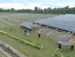 Bukan Main-main! Pertamina Punya PLTS Terbesar di Blok Rokan, Hemat Rp50 Miliar Setahun & Setara 1 Juta Pohon!