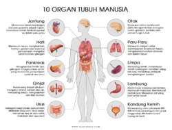Bukan Programmer! Bos Nvidia Bocorkan 2 Profesi ‘Remahan’ Ini Justru Bakal Bikin Kamu Kaya Raya di Era AI, Gaji Fantastis Tanpa Gelar Sarjana!