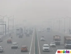 Bukan Sekadar Berita! Ini Jaringan Raksasa di Balik CNN Indonesia yang Wajib Kamu Tahu