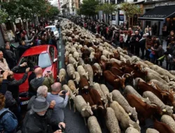 Bukan Sekadar Berita: Mengungkap Jaringan Raksasa dan Kekuatan di Balik CNN Indonesia yang Jarang Kamu Tahu!