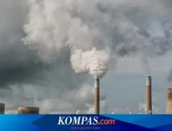 Bumi Terjebak Panas! Level CO2 Pecahkan Rekor Tertinggi di 2024, Ancaman Krisis Iklim Makin Nyata
