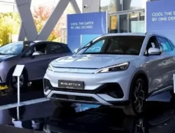 BYD Terjun Bebas! Penjualan Mobil Listrik Ambles Lebih 50%, Ada Apa?