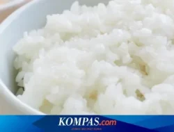 Bye Nasi Putih! Ini 7 Efek Mengejutkan di Tubuhmu yang Wajib Kamu Tahu!