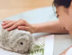 Casio Luncurkan Moflin: Robot AI Pendamping Beremosi, Siap Gantikan Hewan Peliharaanmu?